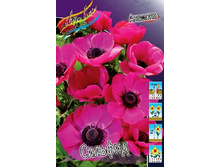 4,36���. ������� �������(���������� ������ ������ ���������� �� 15 ��.).jpg