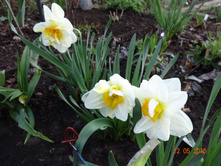 DSC01256.JPG