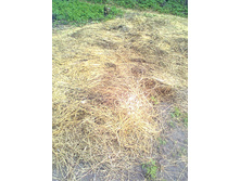 ��������� ��� �������