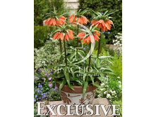 139,3���. ����������� ������� �����(�������� ���� �� 3 ��., ����������� ����� 1��.)���15.jpg