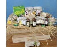 ����� "����� �������". ���� �� �������