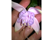 WP 20150503 23 18 57 Pro.jpg