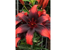 32,42���. �����  �����(�������� ���� �� 10 ��., ����������� ����� 1��.).jpg