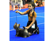 ��������� 3�.jpg