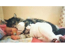 � ������� 2)