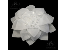 �313 �������� ����-��� (17��) "���������