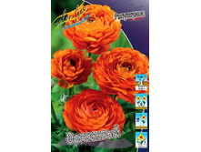 7,91���. ���������� ���������(���������� ������ ������ ���������� �� 10 ��.).jpg