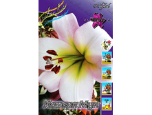 33,84���. �����  ������ ���(�������� ���� �� 10 ��., ����������� ����� 1��.)���14.jpg