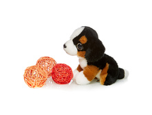 ��������� - 393,49 ������