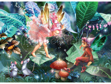 ���, ���� � �����