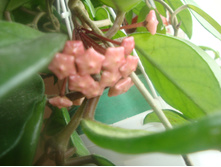 �������� �������.JPG