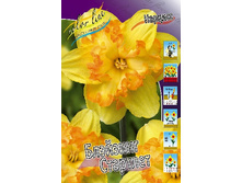 27,37���. ������� �������� ��������(��� 10 ��. ���������� ������ 5��.).jpg