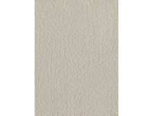 ������ ������.jpg