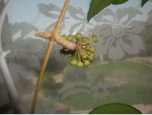 ���� ���������� �������� ������.JPG