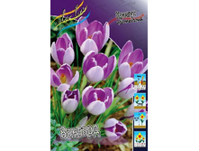 9,84���. ������ �������(���������� ������ ������ ���������� �� 15 ��.).jpg