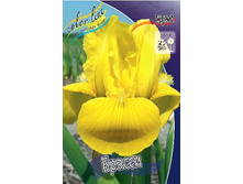 51,23���. ���� (pumila) ������(�������� ���� �� 3 ��., ����������� ����� 1��.).jpg