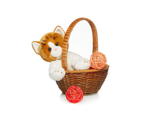 ����� ������� - 612,81 ������