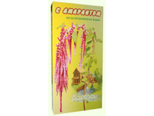 ���� �������������� � ��������� (�������. ��������, ����, �������).png