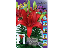 25,04���. �����  ����� ����(���������� �� ����� �������� �� 5��.).jpg