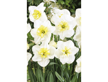 15,84���. ������� �������� ����(��� 10 ��. ���������� ������ 5��.)���15.jpg