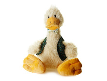 ���� ���� � ������ ����� 37 �� - 668 ������