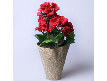 ���������� ������ 34 �� ������ 620269 180 �.jpg