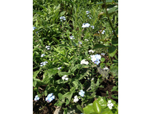 ��������� 35 ���