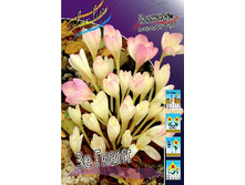 67,65���. �������� �� ����� (����������.)(�������� ���� �� 2 ��., ����������� ����� 1��.).jpg