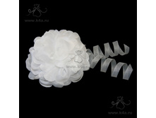 �301 "��������" ���� ��� �� ������� (15��)