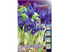 7,04���. ���� ����. ��������(���������� ������ ������ ���������� �� 10 ��.).jpg