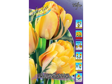 16,56���. ������� �������(��� 10 ��. ���������� ������ 5��.).jpg