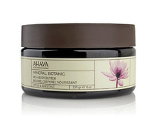 ����-����� ��� ���� �����/������� ������	235��_1632 ���