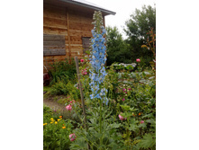 ����� ����. �������.jpg