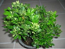 ������ �������� - ������ �������� �������� ...