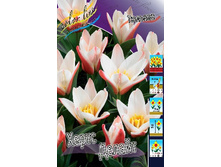 12,23���. ������� ����� ������(��� 10 ��. ���������� ������ 5��.).jpg