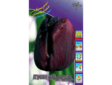 11,22���. ������� ���� �� ����(��� 10 ��. ���������� ������ 5��.).jpg