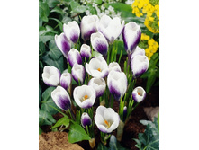 5,66���. ������ ����� ����� (����.)(���������� ������ ������ ���������� �� 15 ��.).jpg