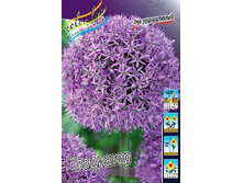 49,2���. ��� �����. ���������(�������� ���� �� 3 ��., ����������� ����� 1��.).jpg