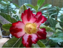 WP 20150515 11 26 21 Pro.jpg