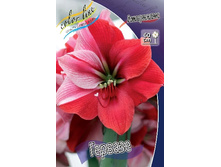 266,5���. ��������� �������(�������� ���� �� 1 ��., ����������� ����� 1��.).jpg