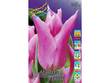 12,95���. ������� ����� ����(��� 10 ��. ���������� ������ 5��.).jpg