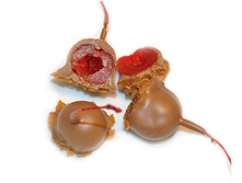 ����� � ��������.jpg