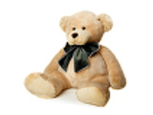 ����� ���� 50 �� - 1292 �����