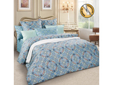 ����� SM60.jpg