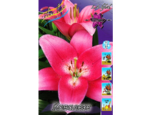 16,78���. �����  ��������(��� 10 ��. ���������� ������ 5��.).jpg