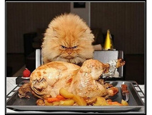 � ������?