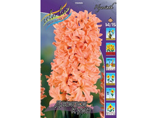 29,52���. ������� ������ ���� 17-18(���������� �� ����� �������� �� 5��.).jpg