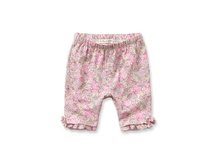 ������ ��������