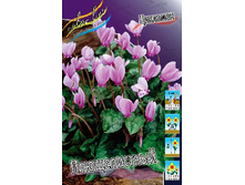 67,65���. �������� ������������(�������� ���� �� 2 ��., ����������� ����� 1��.).jpg