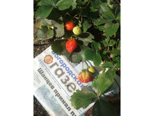 20140928 135233.jpg
